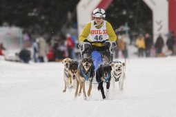 Lenzerheide 2013